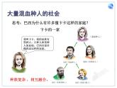 初中地理7下9.2 巴西课件A