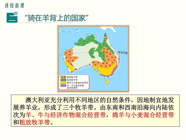 初中地理7下第8章第四节   澳大利亚精品教学课件第5页