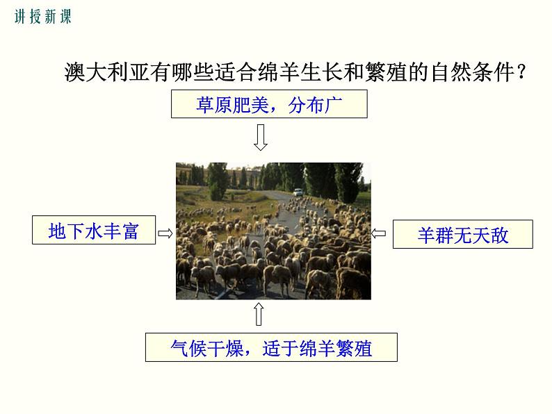 初中地理7下第8章第四节   澳大利亚精品教学课件第6页