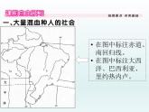 初中地理7下第9章第2节第1课时 大量混血种人的社会 发展中的工农业习题课件