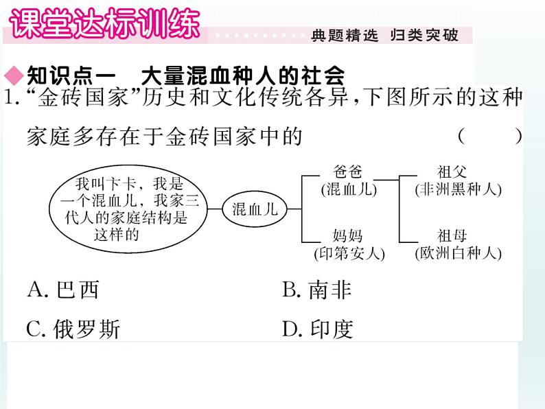 初中地理7下第9章第2节第1课时 大量混血种人的社会 发展中的工农业习题课件第5页