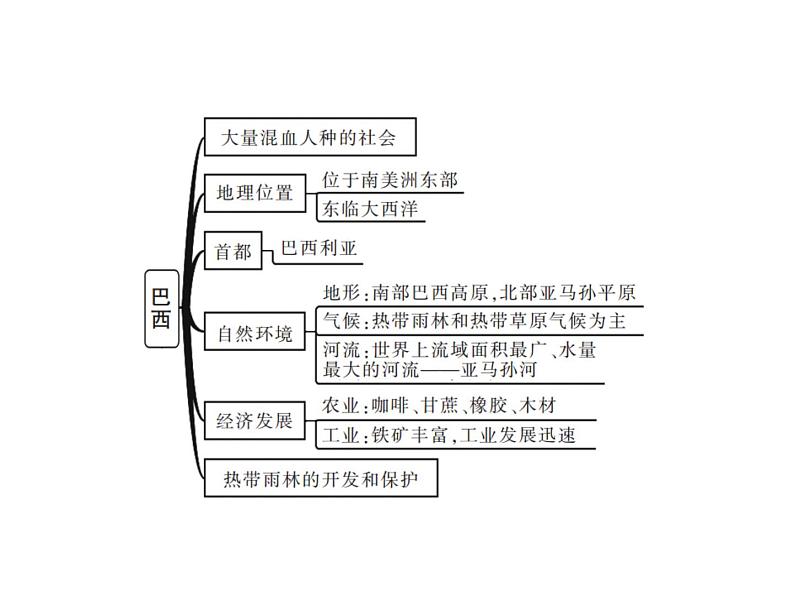 中考地理复习   课件：第一篇  核心知识 第11讲  美国  巴西 (共10张PPT)第3页