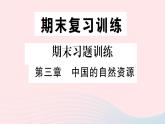 地理人教版八年级上册同步教学课件3 中国的自然资源期末复习训练