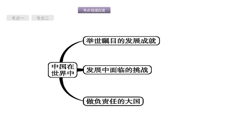 中考地理复习中考地理考前考点梳理第21讲　青藏地区　中国在世界中 （共46张PPT）第3页