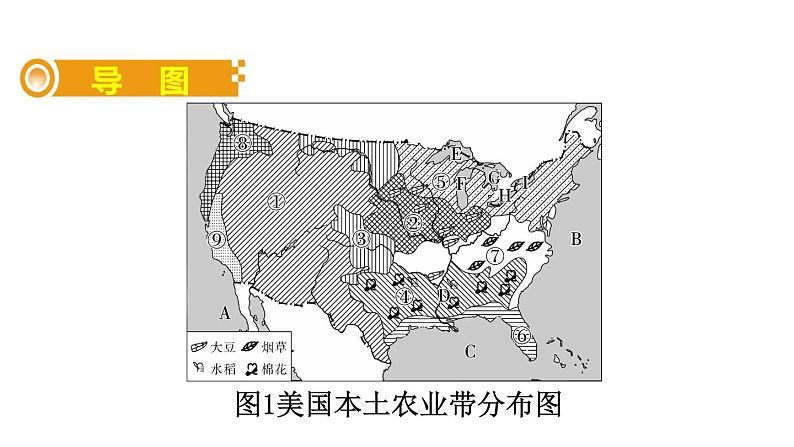 中考地理复习 课件十八、美国02