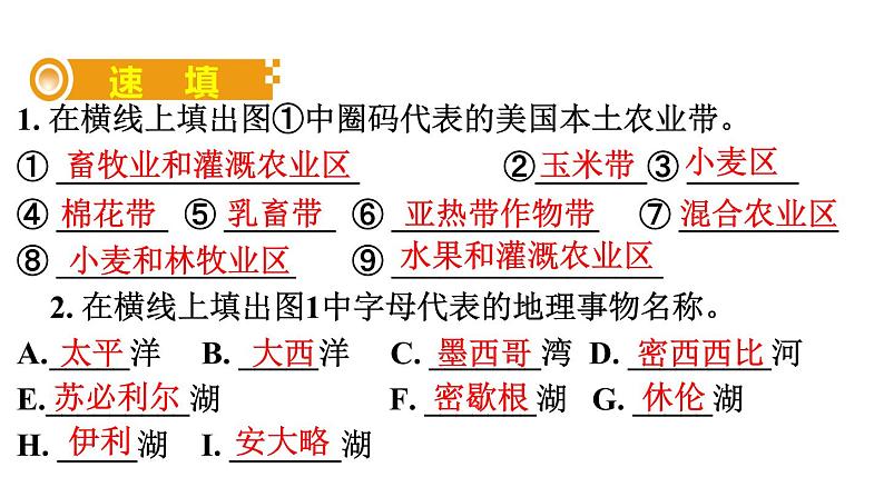 中考地理复习 课件十八、美国04