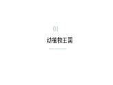 8.1西双版纳——晶莹透亮的“绿宝石”（课件）-2022-2023学年八年级地理下册同步备课系列（晋教版）