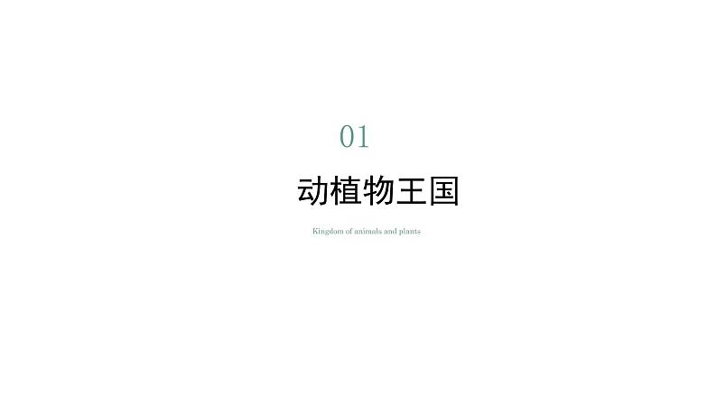 8.1西双版纳——晶莹透亮的“绿宝石”（课件）-2022-2023学年八年级地理下册同步备课系列（晋教版）05