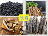 6.1東北地區(qū)的地理位置與自然環(huán)境（精品課件）-2022-2023學年八年級地理下冊同步備課系列（湘教版）
