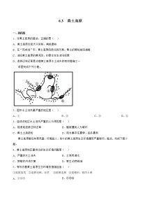 初中地理商务星球版八年级下册第三节 黄土高原精品当堂检测题