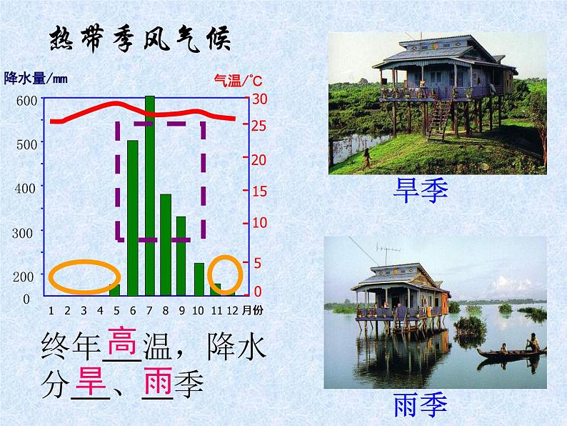 2021-2022学年人教版七年级下册第七章 第三节《印度》课件第8页