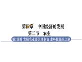 人教版八年级地理上册课件 4.2.2 发展农业要因地制宜　走科技强农之路