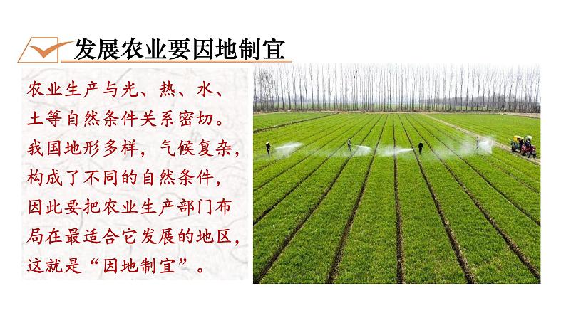 人教版八年级地理上册课件 4.2.2 发展农业要因地制宜　走科技强农之路03
