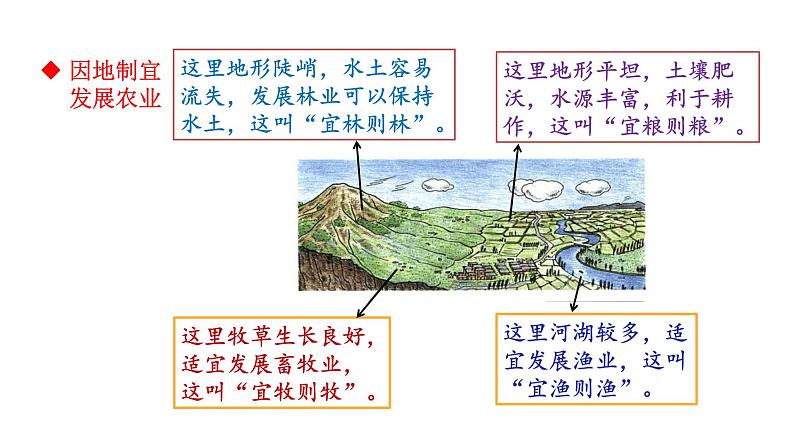 人教版八年级地理上册课件 4.2.2 发展农业要因地制宜　走科技强农之路04