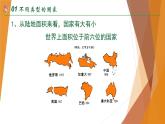 第五章第一節(jié)發(fā)展中國家與發(fā)達(dá)國家課件    湘教版地理七年級(jí)上冊(cè)