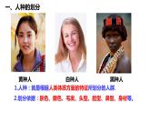 2022-2023学年湘教版地理七年级上册3.2世界的人种 课件