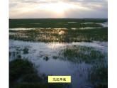 2.1中国的地形课件   八年级地理上学期湘教版