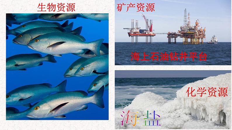 3.4中国的海洋资源课件    湘教版地理八年级上册03