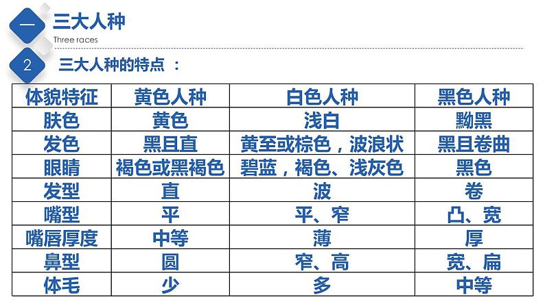 中图版八上地理3.1  人种和人口  课件+教案04