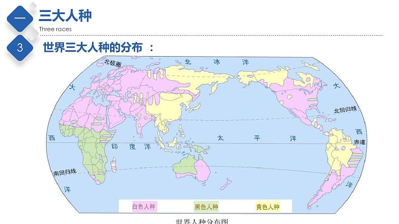 中图版八上地理3.1  人种和人口  课件+教案05