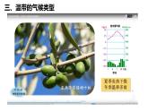 2022-2023学年湘教版地理七年级上册4.4.2世界的主要气候类型课件