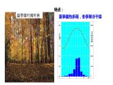 2022-2023学年湘教版地理七年级上册4.4.2世界的主要气候类型课件