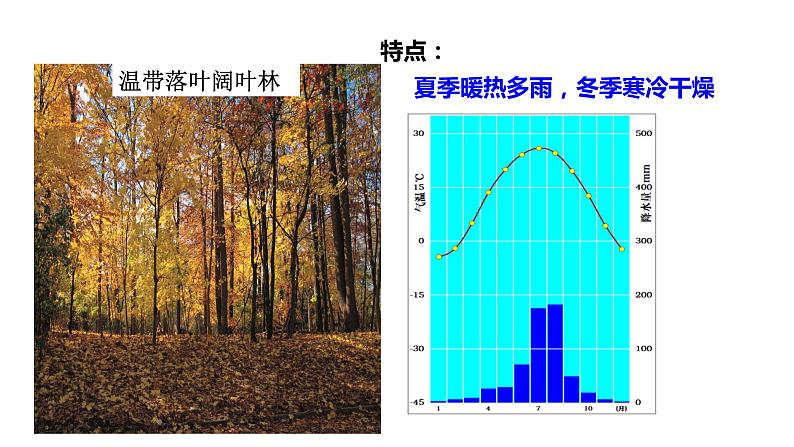 2022-2023学年湘教版地理七年级上册4.4.2世界的主要气候类型课件第5页