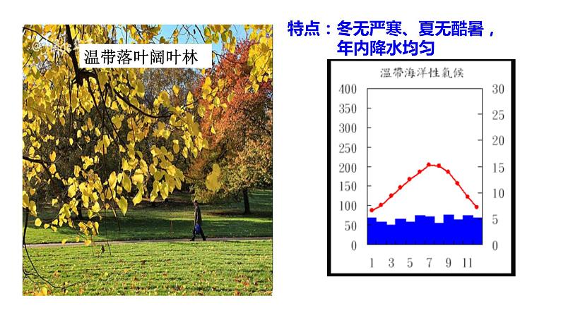 2022-2023学年湘教版地理七年级上册4.4.2世界的主要气候类型课件第8页