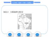 人教版七年级地理下第9章西半球的国家第2节巴西第1课时大量混血种人的社会　发展中的农业习题课件