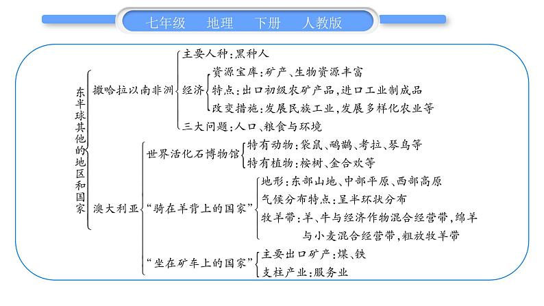 人教版七年级地理下第8章东半球其他的地区和国家第8章复习与提升习题课件第3页