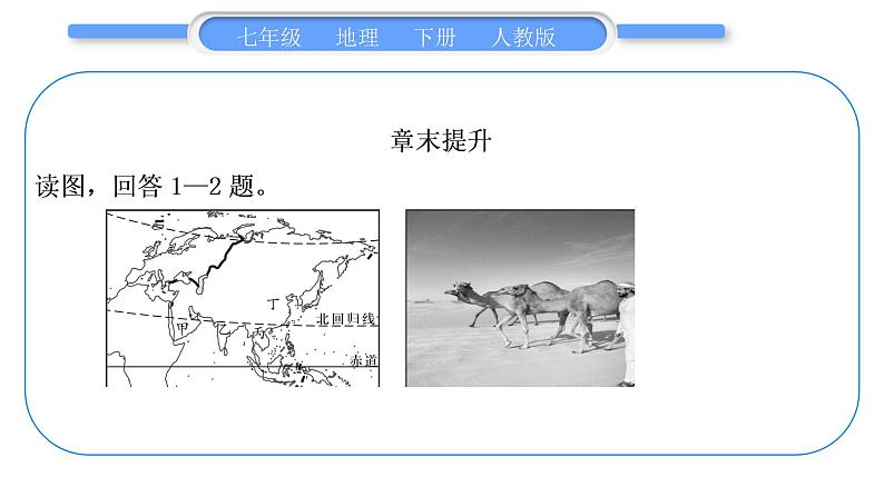 人教版七年级地理下第8章东半球其他的地区和国家第8章复习与提升习题课件第4页