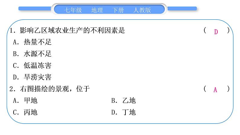 人教版七年级地理下第8章东半球其他的地区和国家第8章复习与提升习题课件第5页