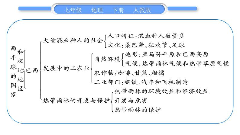 人教版七年级地理下第九、十章 复习与提升习题课件第3页