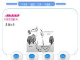 人教版八年级地理上第四章中国的经济发展第二节农业第2课时发展农业要因地制宜　走科技强农之路习题课件