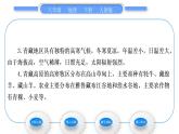人教版八年级地理下第9章青藏地区第1节 自然特征与农业习题课件