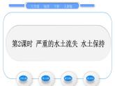 人教版八年级地理下第6章北方地区第3节 世界最大的黄体堆积区——黄土高原第2课时 严重的水土流失  水土保持习题课件