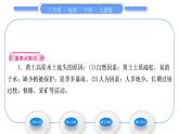 人教版八年级地理下第6章北方地区第3节 世界最大的黄体堆积区——黄土高原第2课时 严重的水土流失  水土保持习题课件