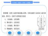 人教版八年级地理下第6章北方地区第3节 世界最大的黄体堆积区——黄土高原第2课时 严重的水土流失  水土保持习题课件