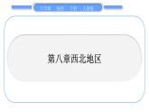 人教版八年级地理下地图专项复习第8章 西北地区习题课件
