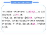 人教版八年级地理下地图专项复习第8章 西北地区习题课件