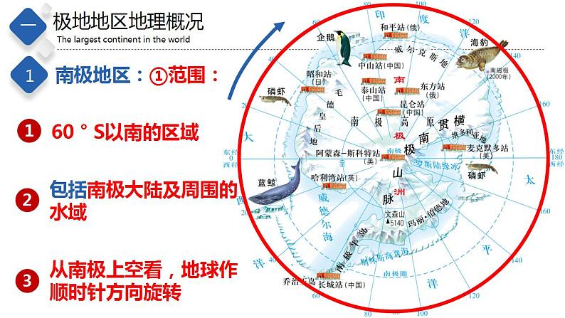 6.5  极地地区（精品课件）-八年级地理下册同步备课系列（中图版）第4页