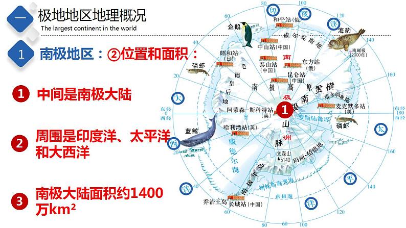 6.5  极地地区（精品课件）-八年级地理下册同步备课系列（中图版）第5页