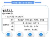 湘教版八年级地理下第八章认识区域：环境与发展第五节黄土高原的区域发展与居民生活习题课件