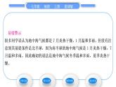 商务星球版七年级地理上第四章天气与气候第四节世界的气候第2课时温带气候类型　寒带气候和高原山地气候习题课件