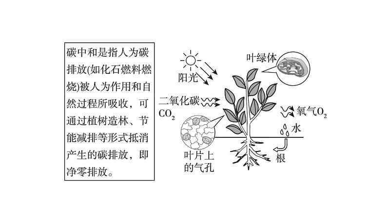 中考地理复习第18课时中国的自然资源课后练课件04