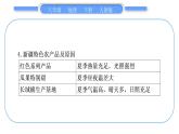 人教版八年级地理下期末抢分速记第8章 西北地区习题课件