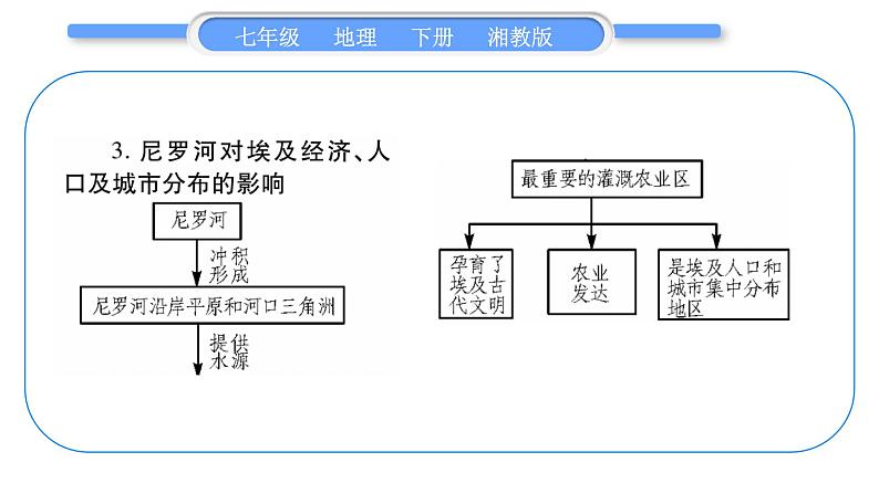 湘教版七年级地理下8章走近国家第2节埃及习题课件第5页