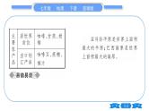 商务星球版七年级地理下第8章不同类型的国家8.5《巴西》习题课件