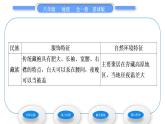 商务星球版八年级地理上第四章中国的经济与文化第四节繁荣地方特色文化习题课件