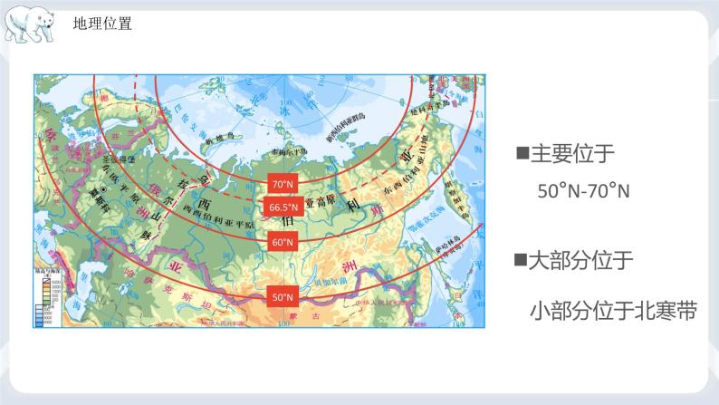 地理七下人教版 7.4 俄罗斯 课件07